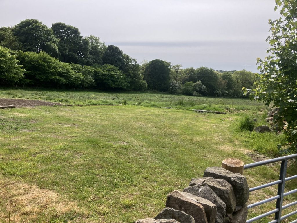 The mown grassy field for campervan parking