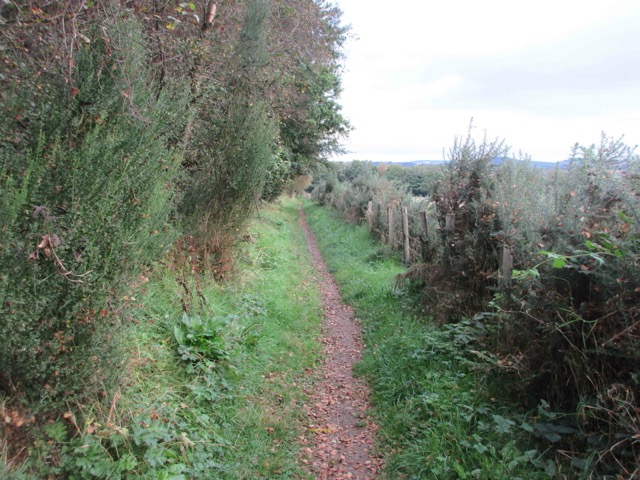 Rural walking path lined with hedgerows along Moor Road near Craighall Steading.